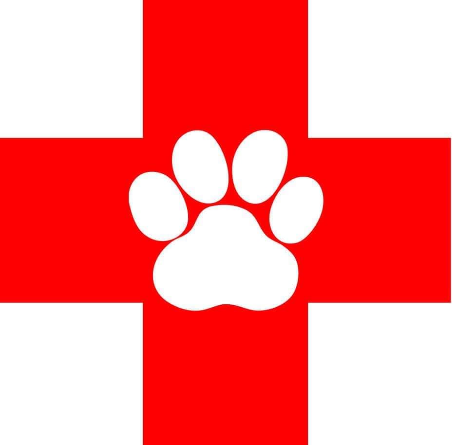 forest city animal hospital logo 