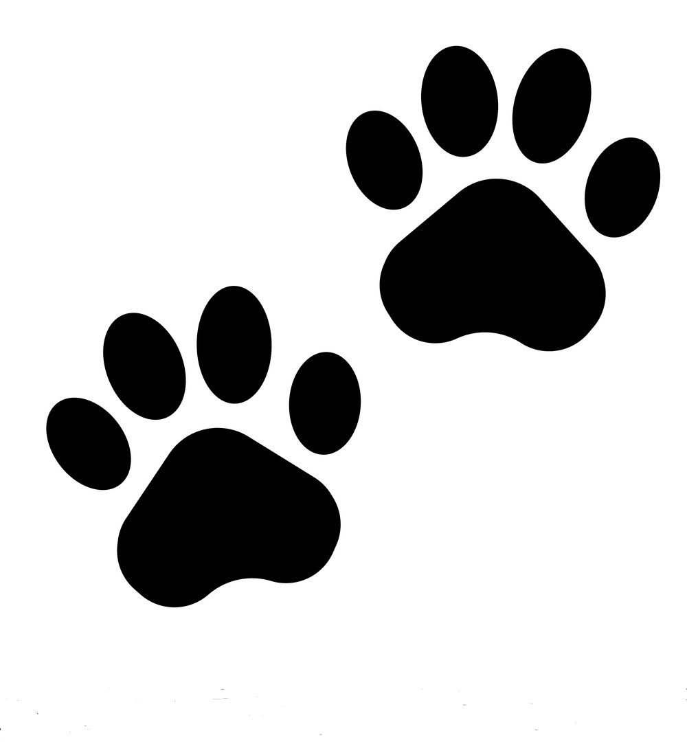 black paws image